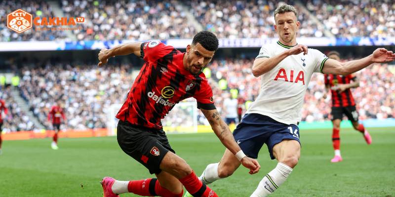 Tottenham Hotspur vs AFC Bournemouth 2 Những nhận định chi tiết về cả 2 đội bóng Tottenham Hotspur vs AFC Bournemouth trước giờ ra sân
