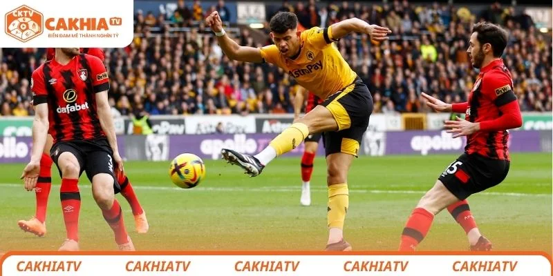 Nhận định chi tiết tình hình lực lượng 2 đội Wolverhampton vs AFC Bournemouth